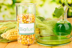 Tong Norton biofuel availability